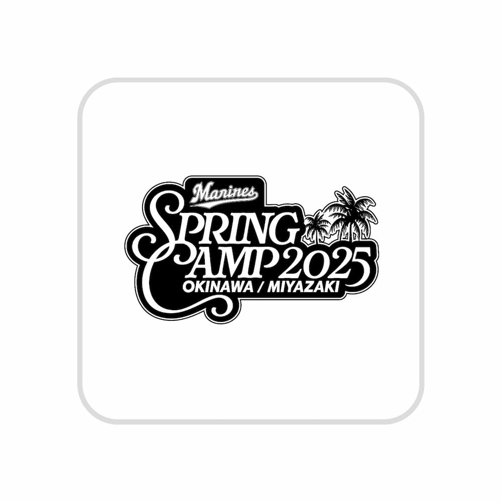 ハンドタオル ロゴ