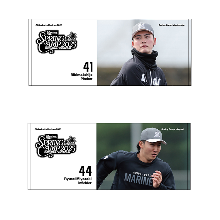 フェイスタオル