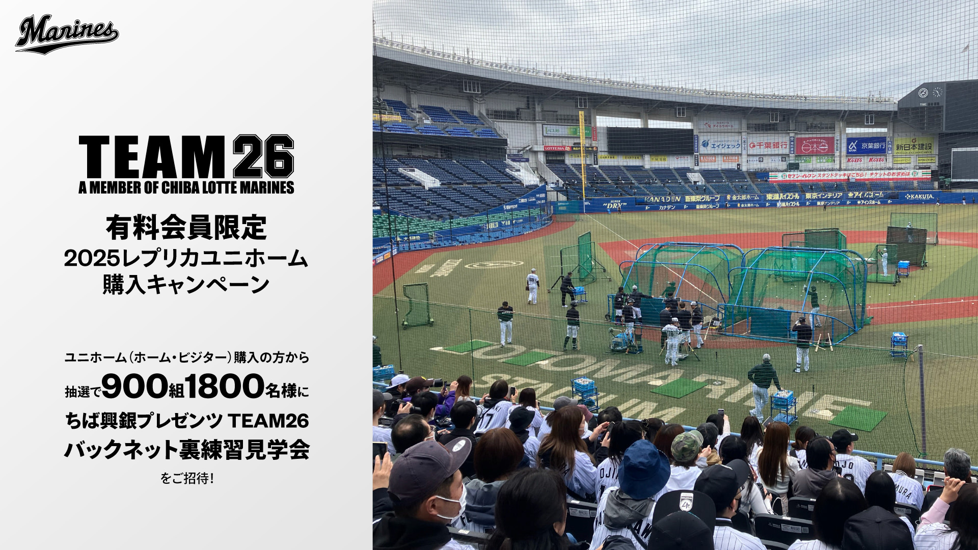 公式ファンクラブ【TEAM26】｜千葉ロッテマリーンズ