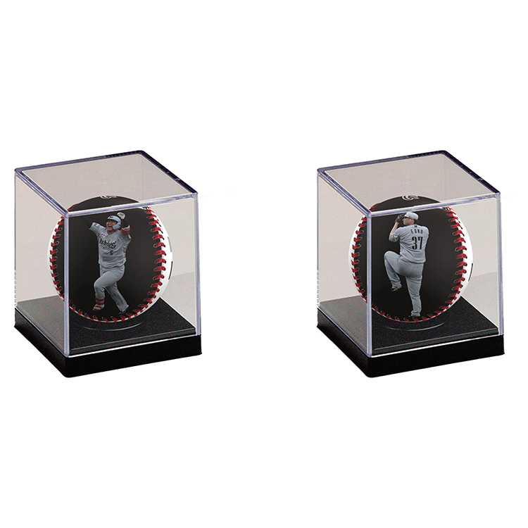 ピクチャーボール