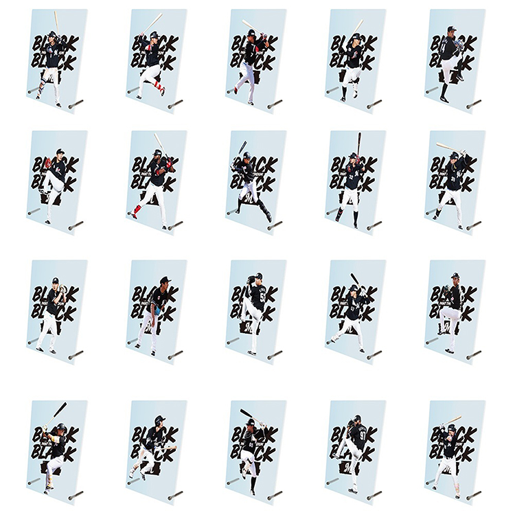 B賞 アクリルパネル(20本)