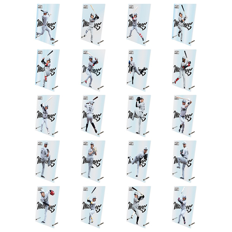 B賞 アクリルパネル(20本)