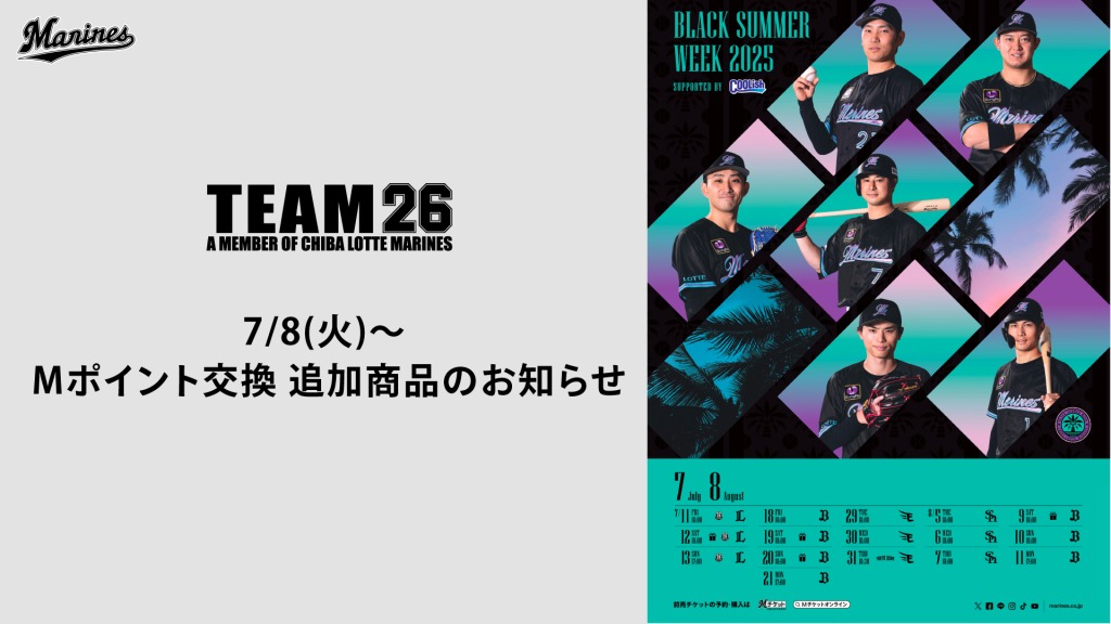 三遊間 グッズ まとめ売り 計26点 三遊間 グッズ まとめ売り 計26点 - メルカリ