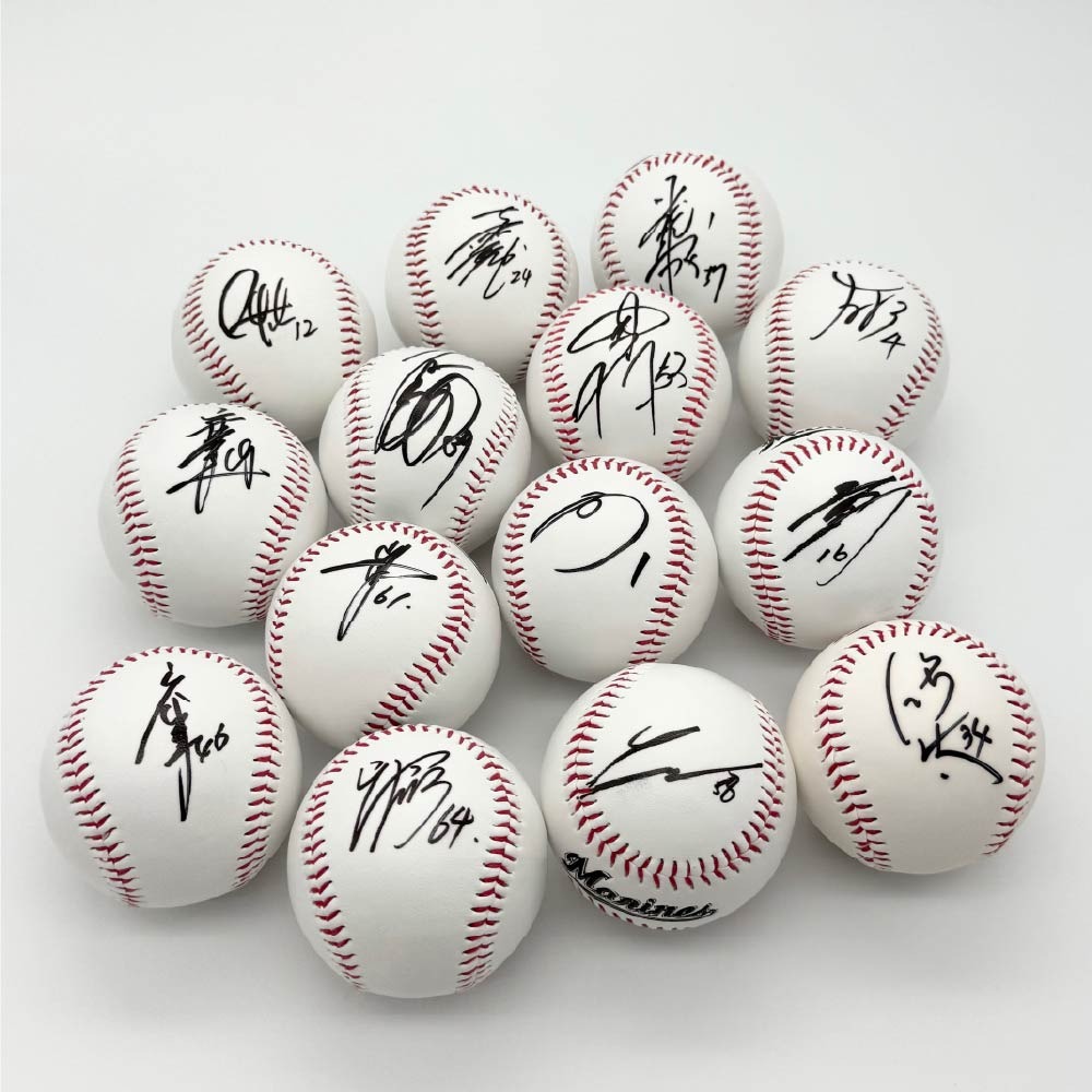 A賞 選手直筆サインボール(5本)