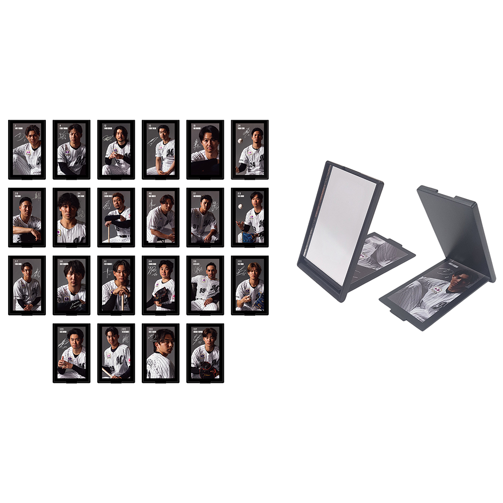 B賞 ポケットミラー(22本)