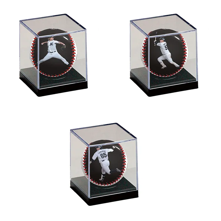 ピクチャーボール