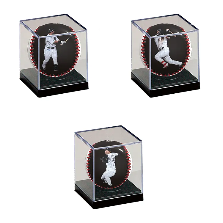 ピクチャーボール