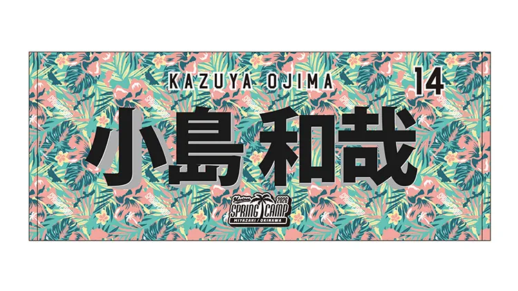 全選手展開選手フェイスタオル