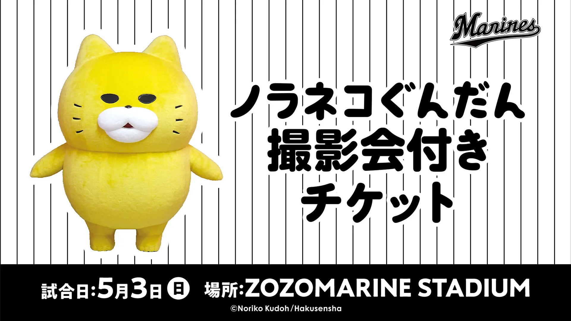 ノラネコぐんだん撮影会付きチケット