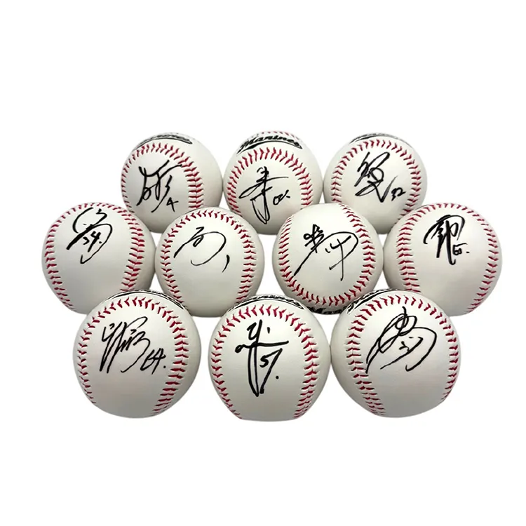 A賞 選手直筆サインボール(10本)