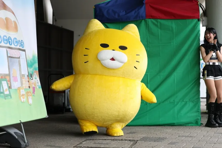 イメージ