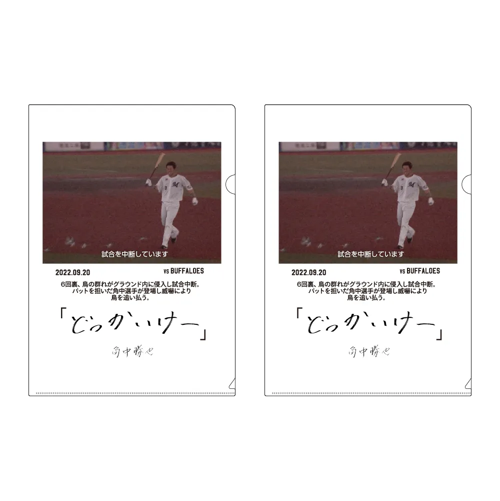 クリアファイル2枚セット
