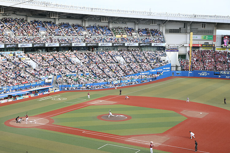 千葉ロッテマリーンズ シートセレクトクーポン 前半戦用2枚