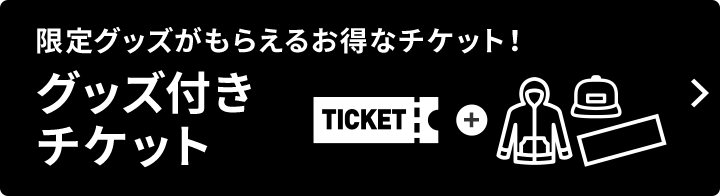 チケット 千葉ロッテマリーンズ