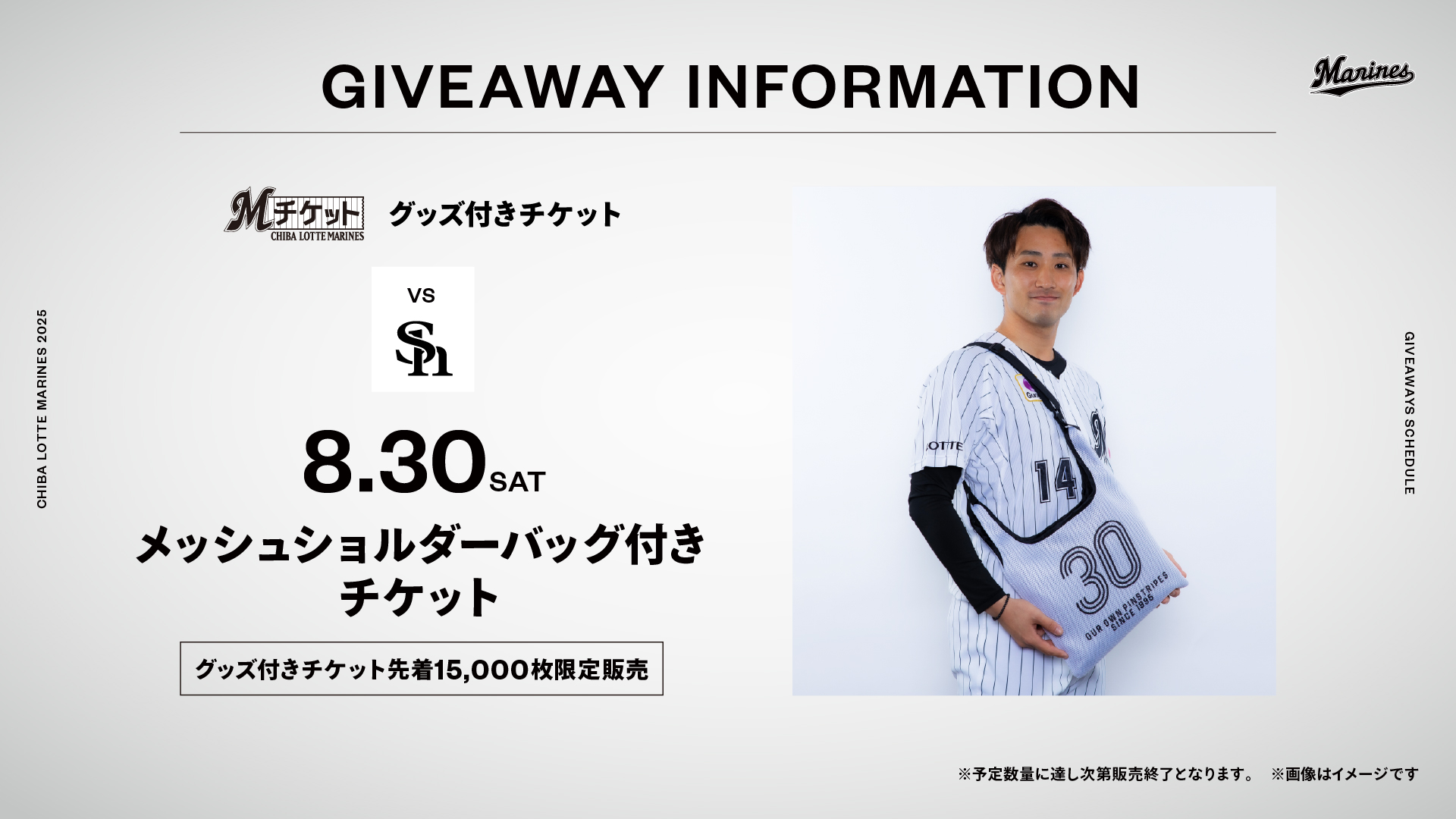 千葉ロッテマリーンズ観戦チケット×2 4/27(土)～5/26(日)公式戦チケット販売情報 - 千葉ロッテマリーンズ