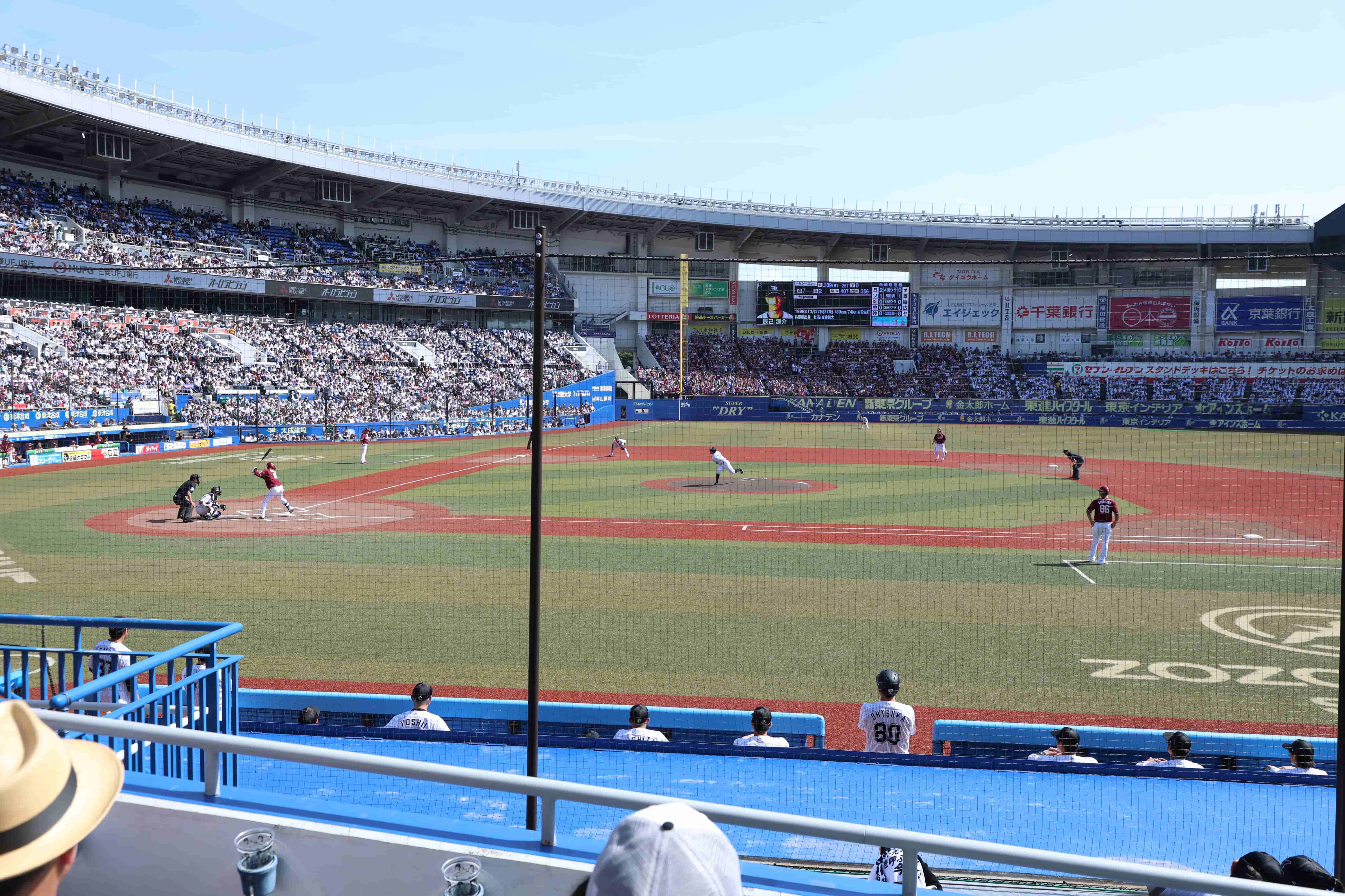 スプラッシュ・シートA(1塁側前方) 眺め